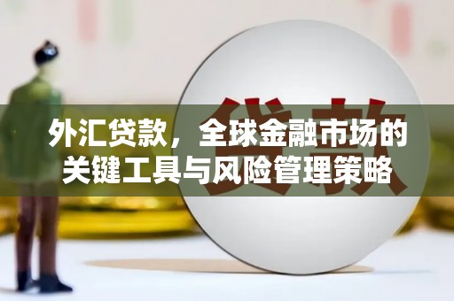金口河外汇贷款，全球金融市场的关键工具与风险管理策略