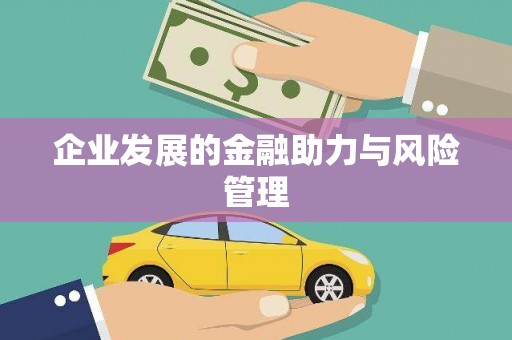 金口河企业发展的金融助力与风险管理