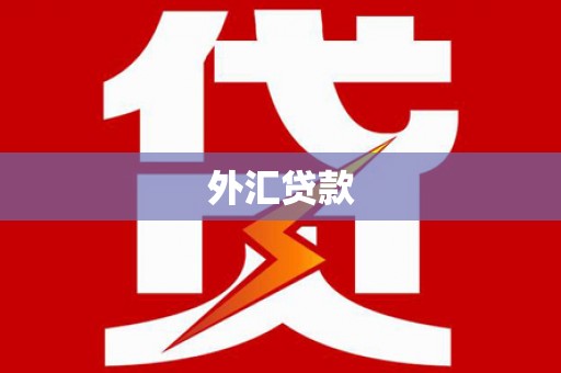 金口河外汇贷款