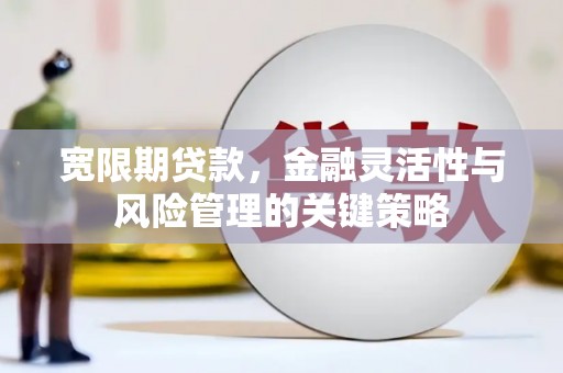 金口河宽限期贷款，金融灵活性与风险管理的关键策略