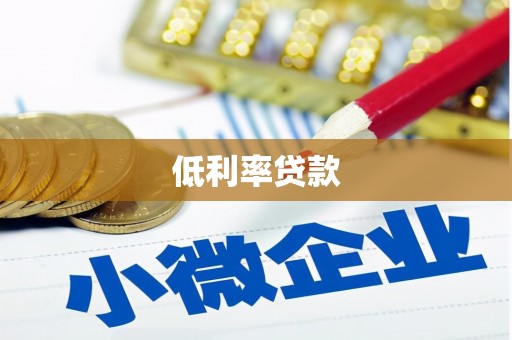 金口河低利率贷款