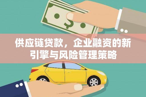 金口河供应链贷款，企业融资的新引擎与风险管理策略