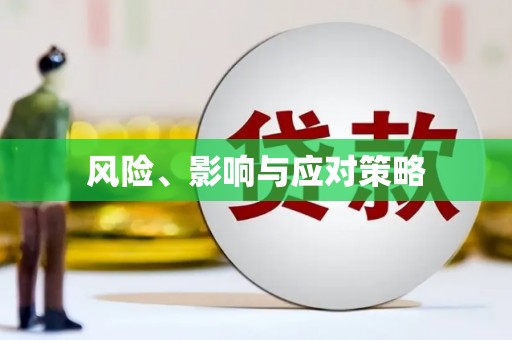 金口河风险、影响与应对策略