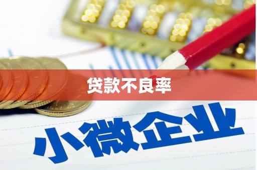 金口河贷款不良率