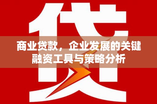 金口河商业贷款，企业发展的关键融资工具与策略分析