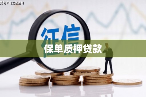 金口河保单质押贷款