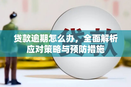 金口河贷款逾期怎么办，全面解析应对策略与预防措施