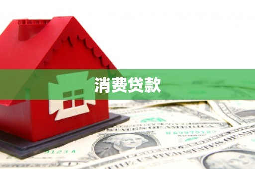金口河消费贷款