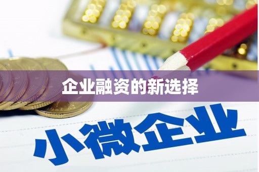 金口河企业融资的新选择