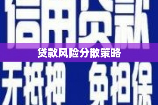 金口河贷款风险分散策略