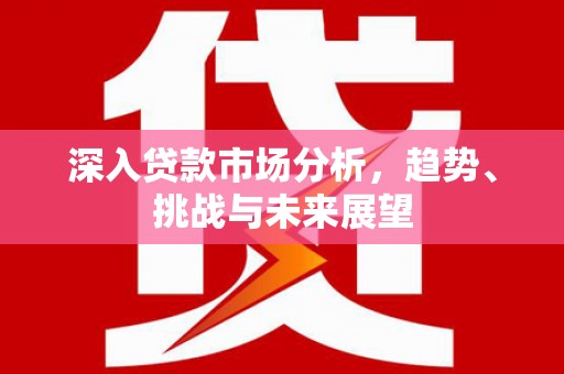 金口河深入贷款市场分析，趋势、挑战与未来展望