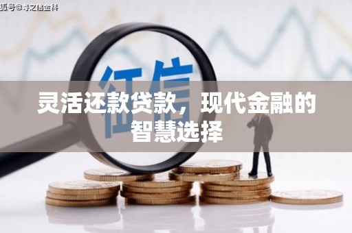 金口河灵活还款贷款，现代金融的智慧选择