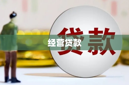 金口河经营贷款