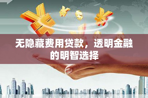 金口河无隐藏费用贷款，透明金融的明智选择