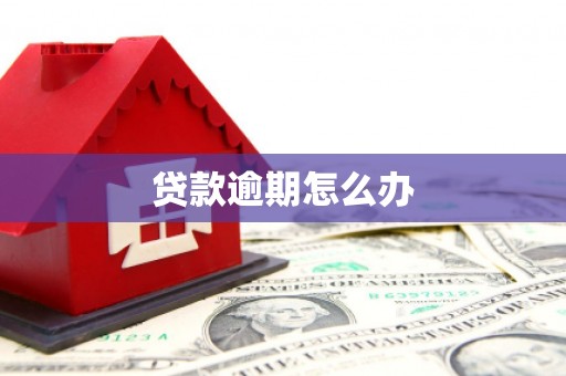 金口河贷款逾期怎么办