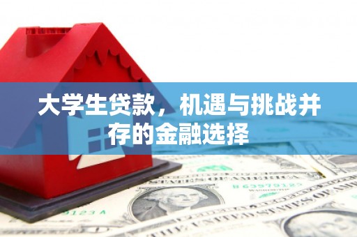 金口河大学生贷款，机遇与挑战并存的金融选择