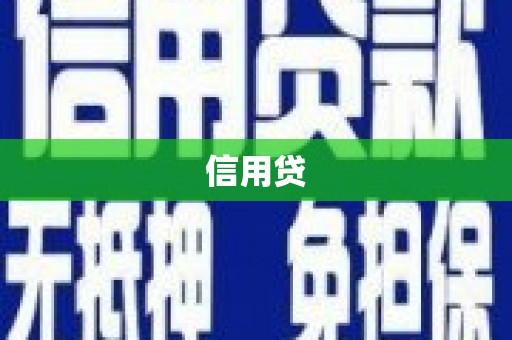金口河信用贷