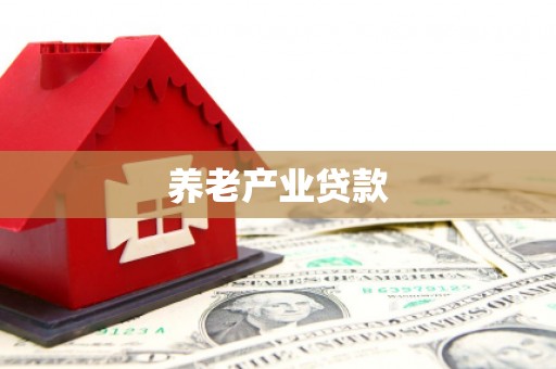 金口河养老产业贷款