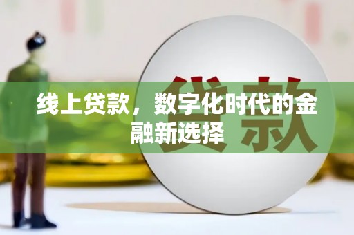 金口河线上贷款，数字化时代的金融新选择