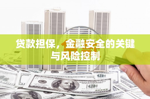 金口河贷款担保，金融安全的关键与风险控制