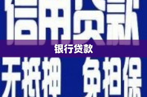 金口河银行贷款