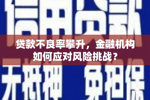 金口河贷款不良率攀升，金融机构如何应对风险挑战？