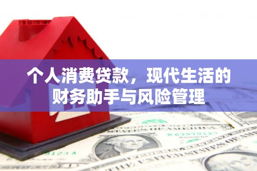 金口河个人消费贷款，现代生活的财务助手与风险管理