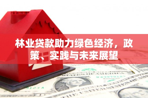 金口河林业贷款助力绿色经济，政策、实践与未来展望