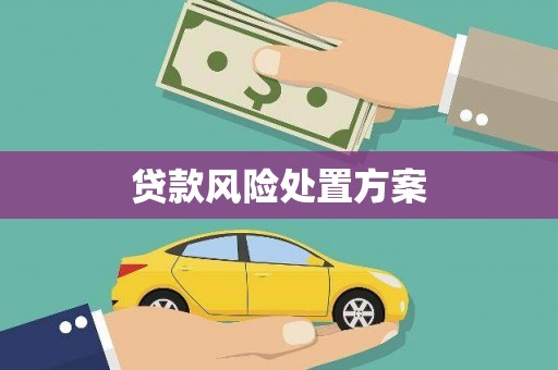 金口河贷款风险处置方案