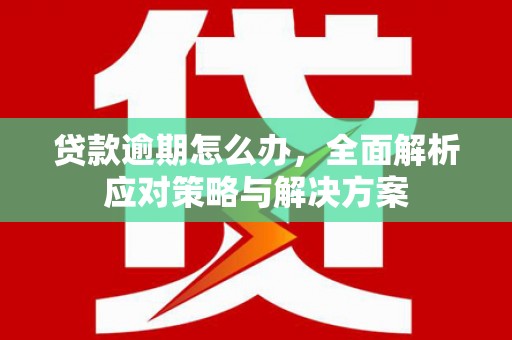 金口河贷款逾期怎么办，全面解析应对策略与解决方案
