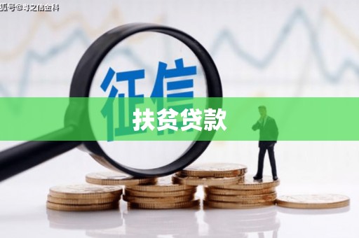 金口河扶贫贷款
