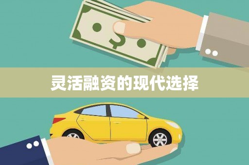 金口河灵活融资的现代选择